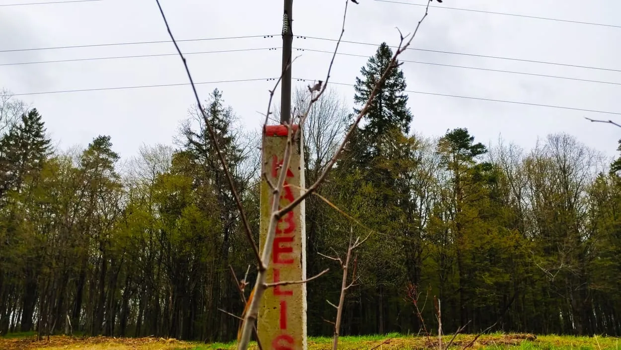 183002302 907861106613664 2036107174358386536 n