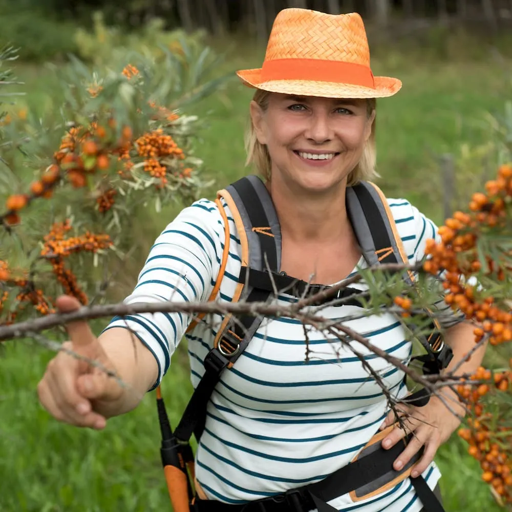 ambsaltalankiu ukis lietuvoje
