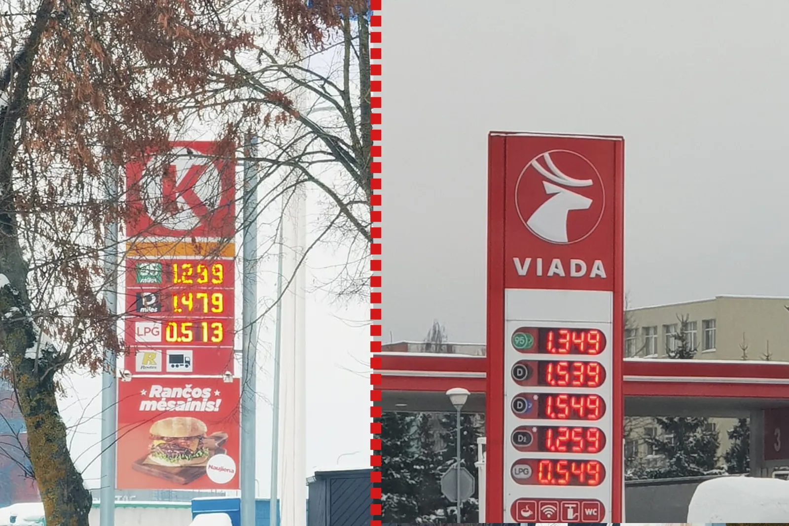 befunky sample 2022 12 15t152655518