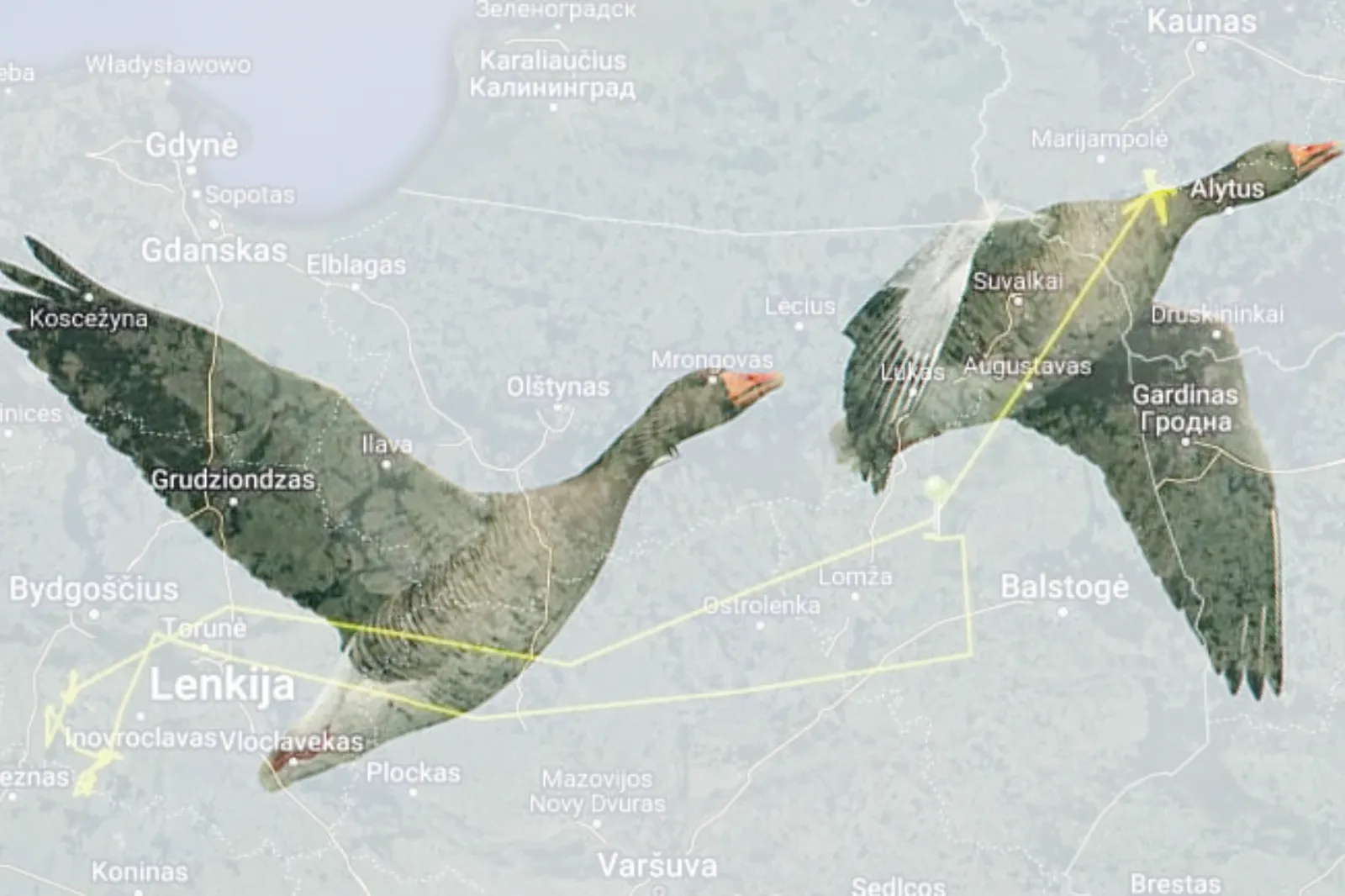 befunky sample 2022 12 30t141322484