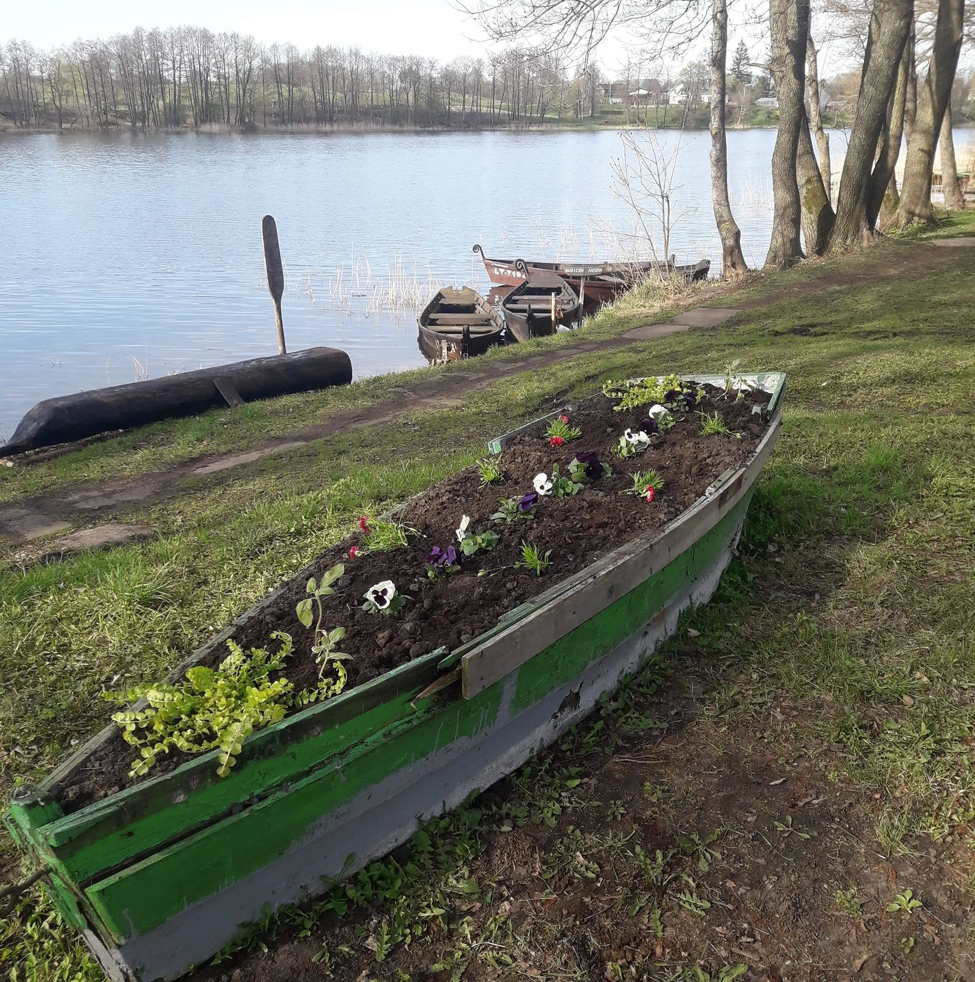 daug182693711 3003314116567340 729290475156916613 n