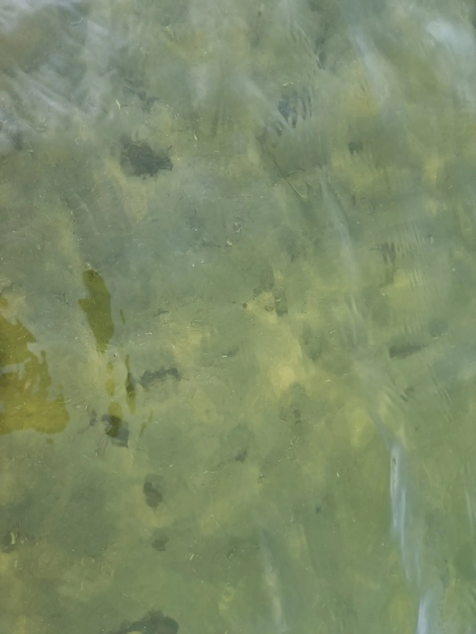 dus290398544 5772665922762246 2572353012696572169 n