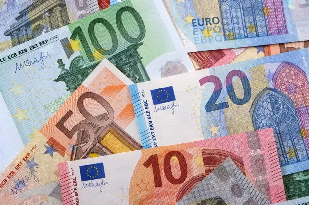 euros 1101 2626