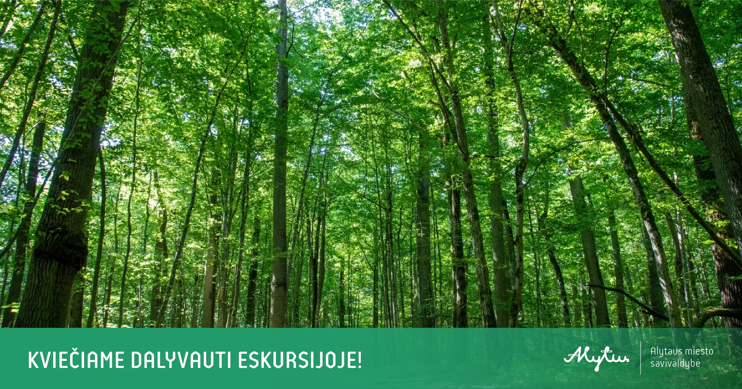 fb post 1200x630px 1