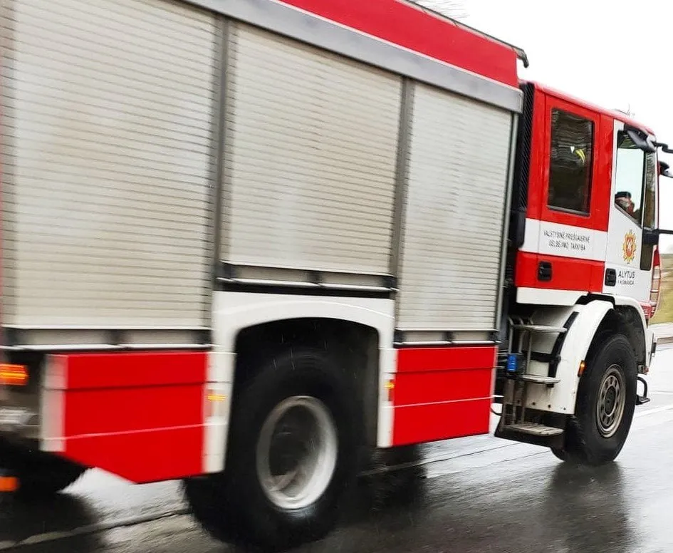 gais180953252 478556203198518 4089517815549879130 n