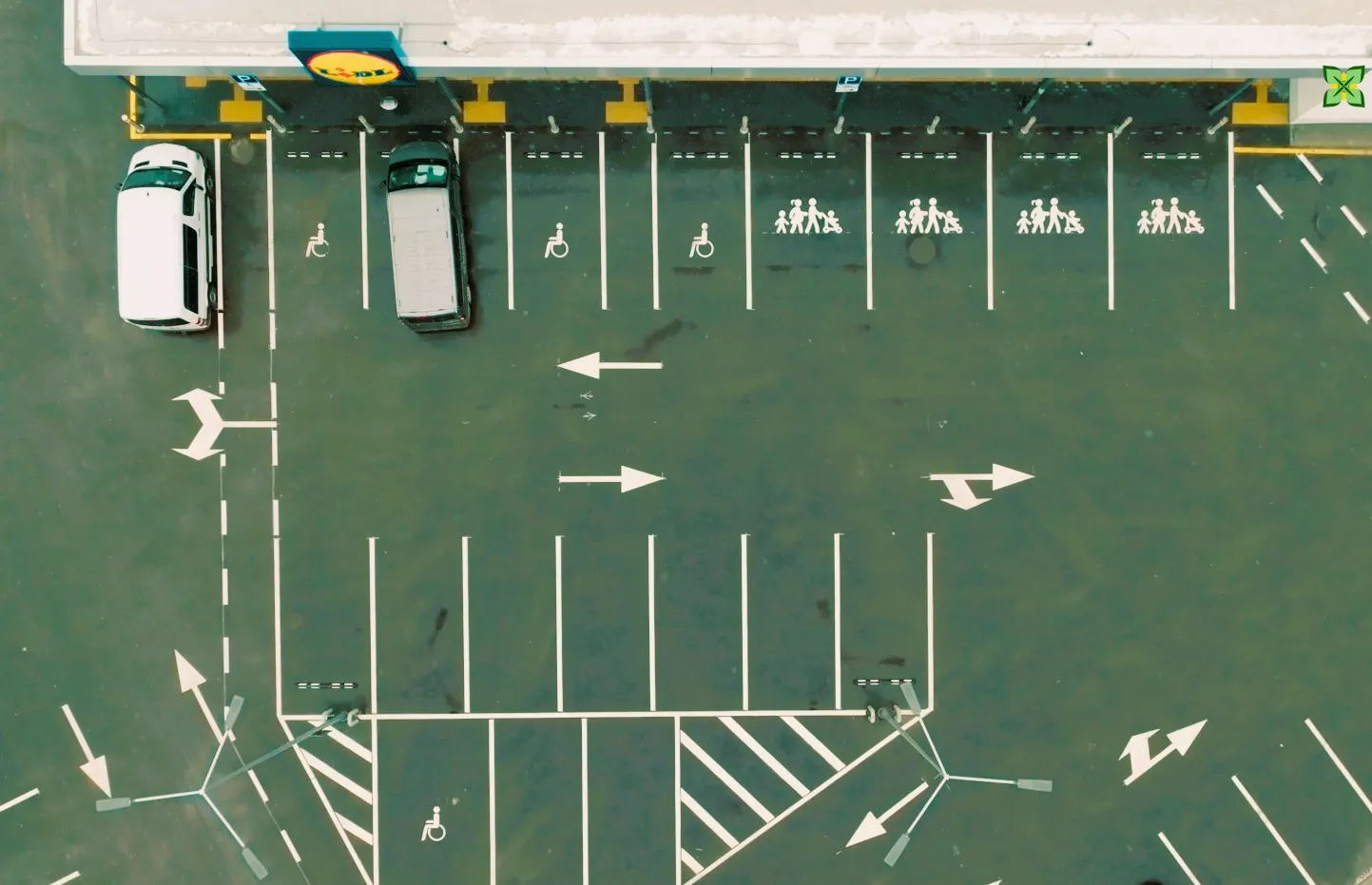 lidlalytaus gidas intro00 00 29 19still180 1