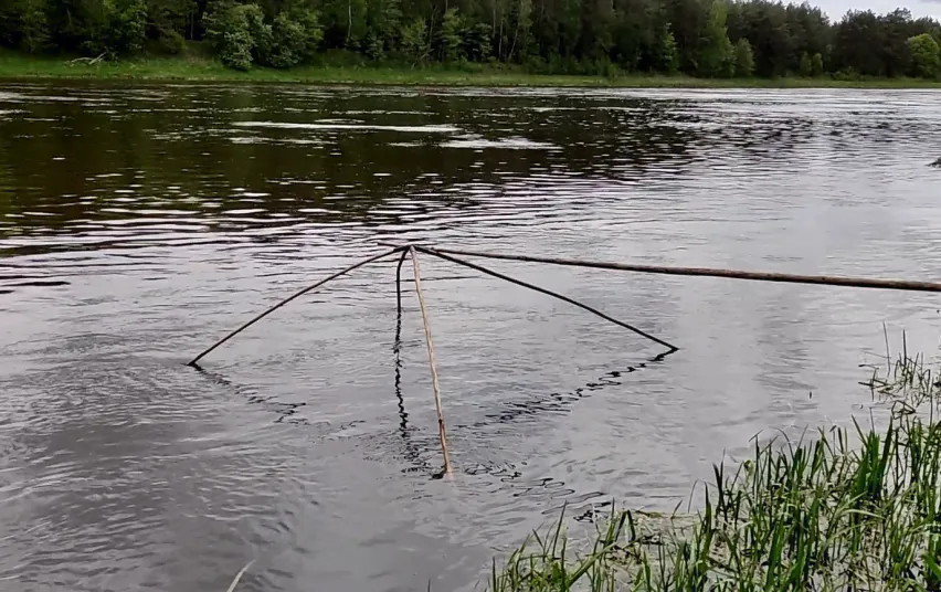 nemun1680 fa5b1af9b20ca65832b5c5ec5551c75c