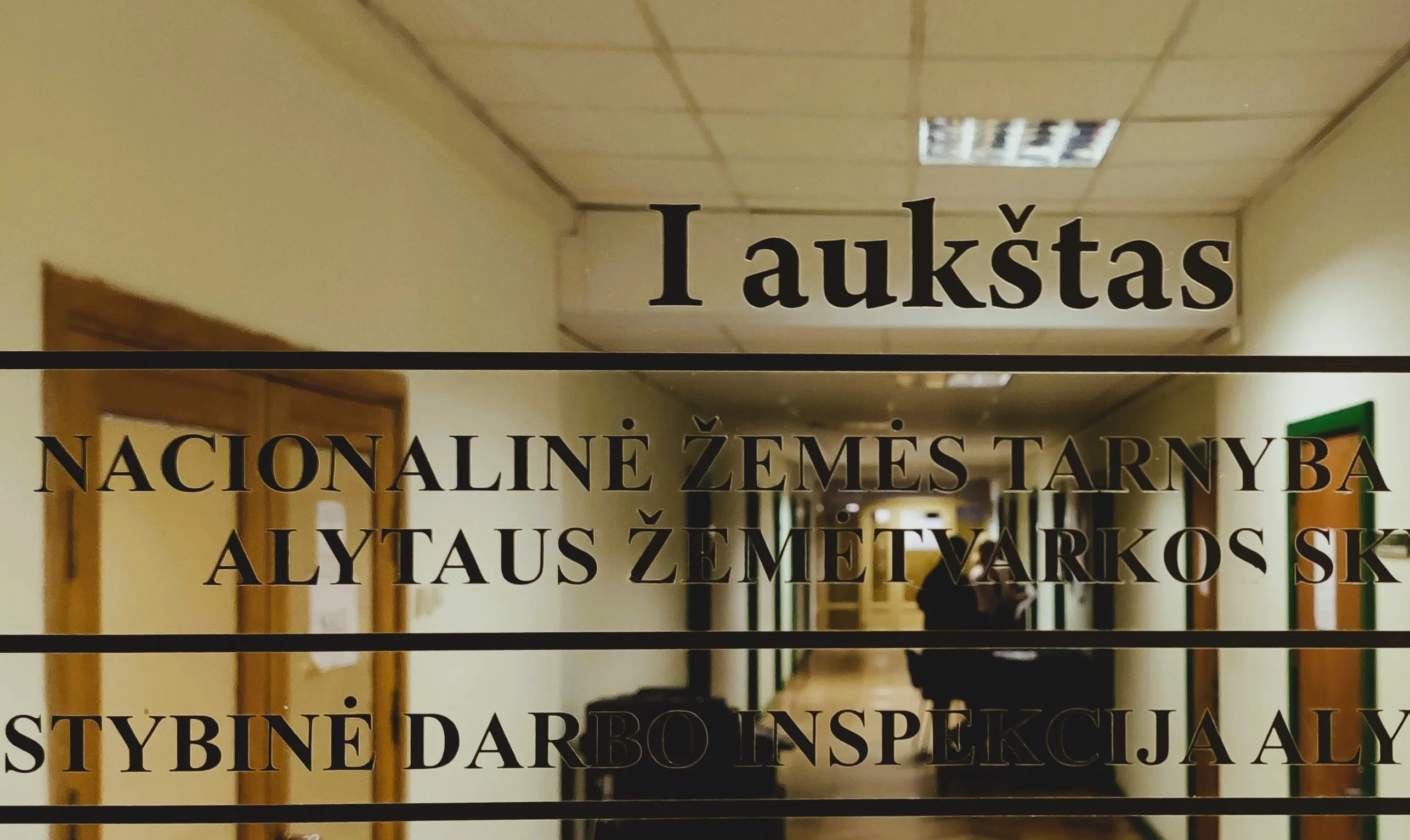 nztimg 20200702 150613