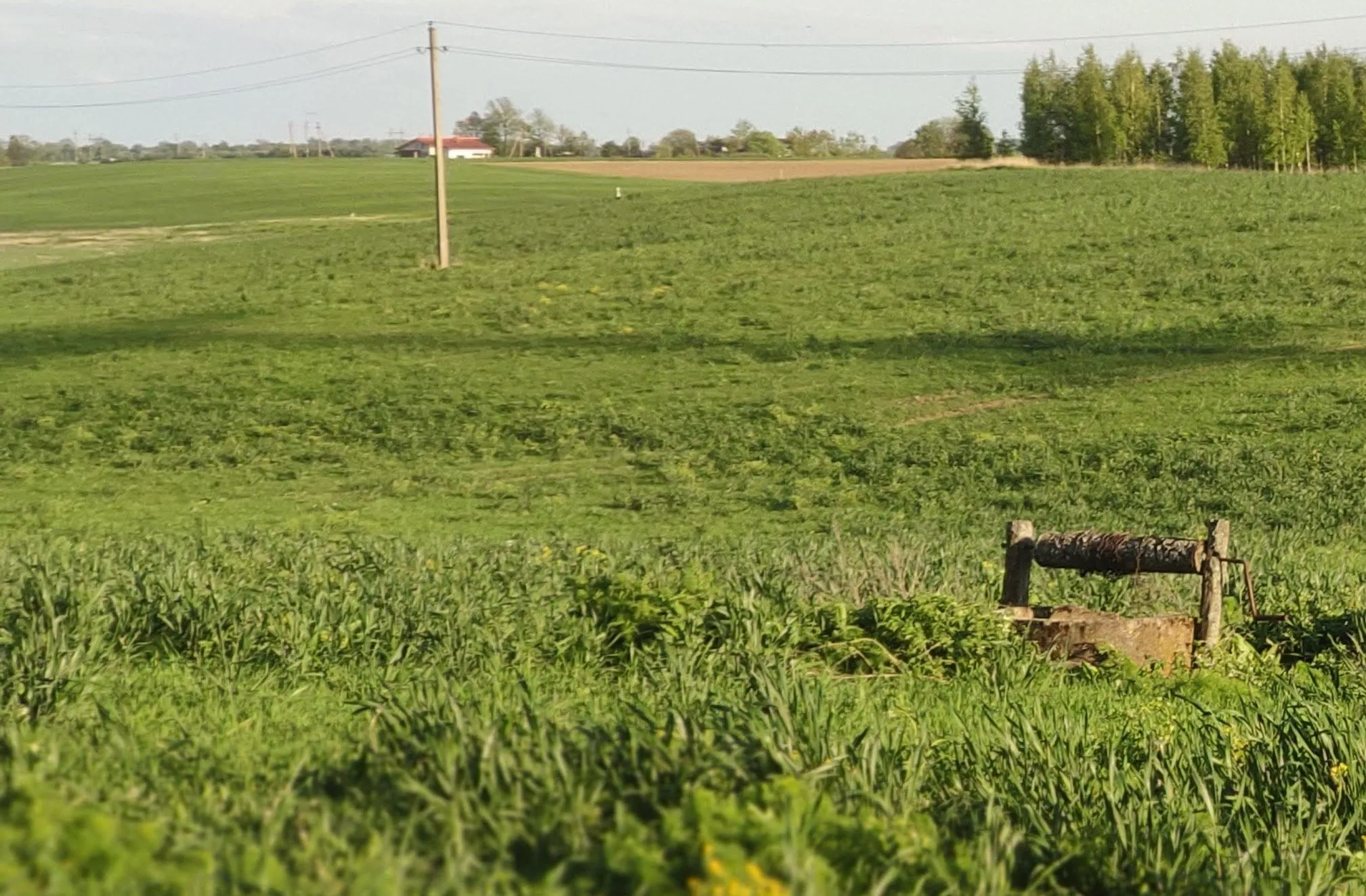 sulinimg 20200527 195046