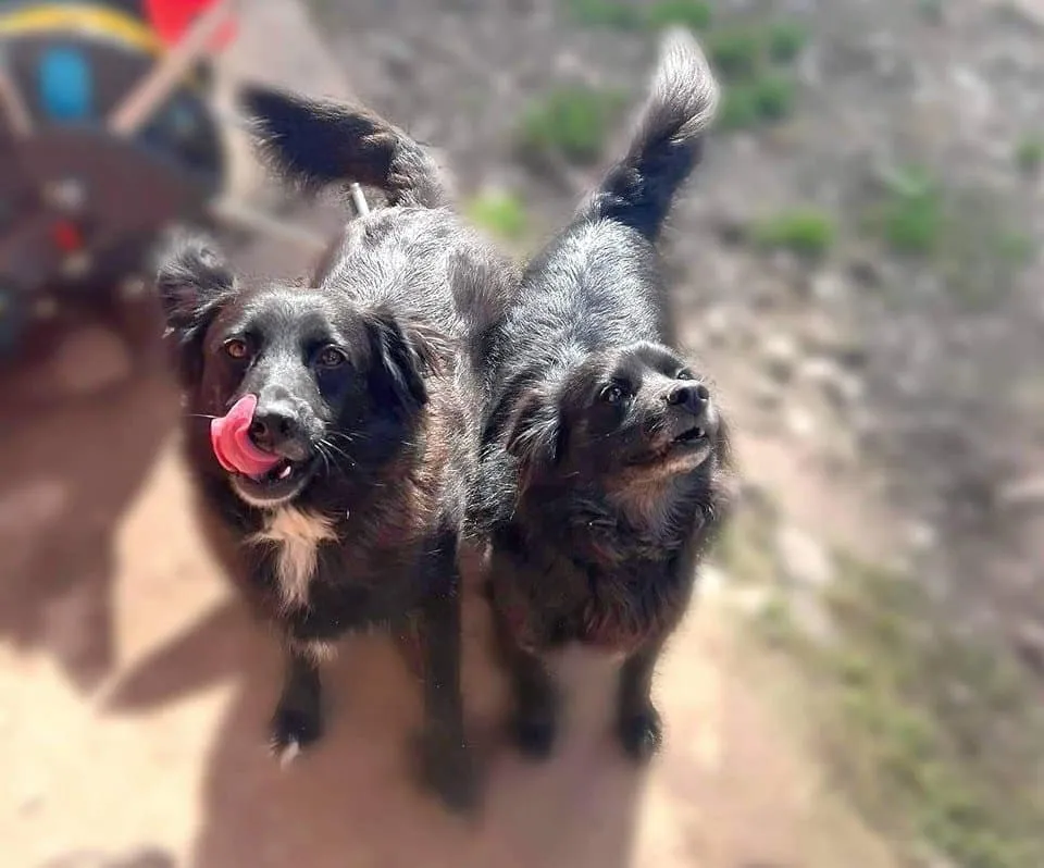 sunukr308974331 1038083250191830 5379981076712523874 n