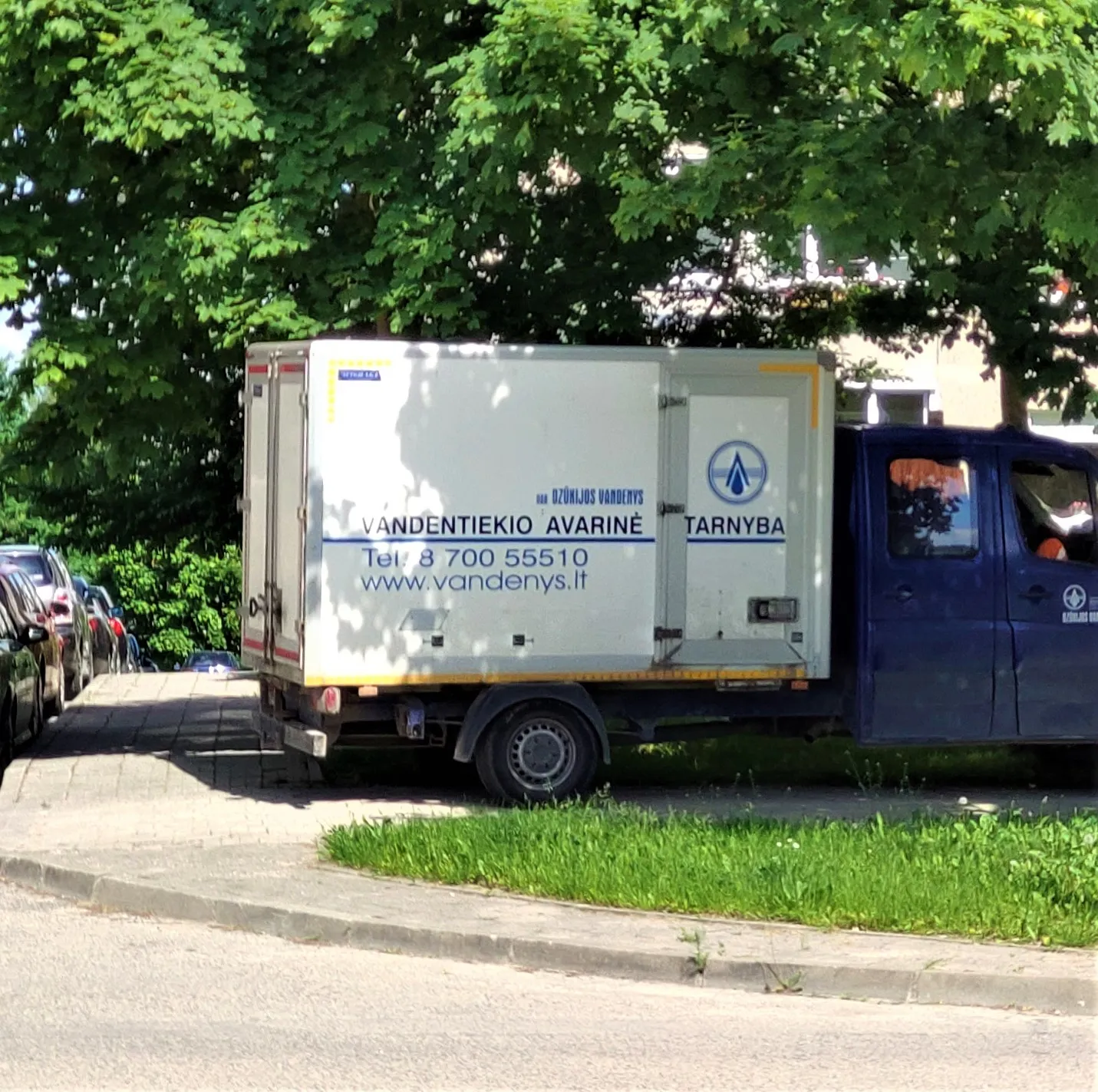 vandimg 20210606 154856