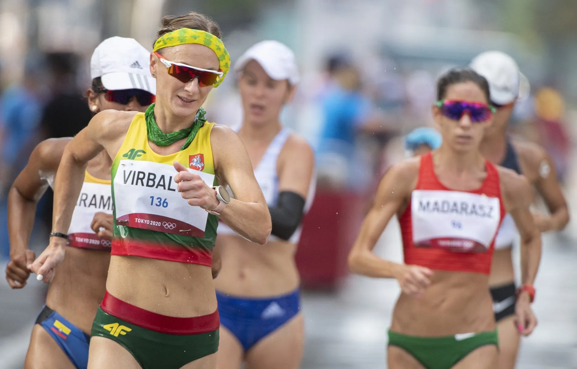 virbabau3960 1900x1217 1