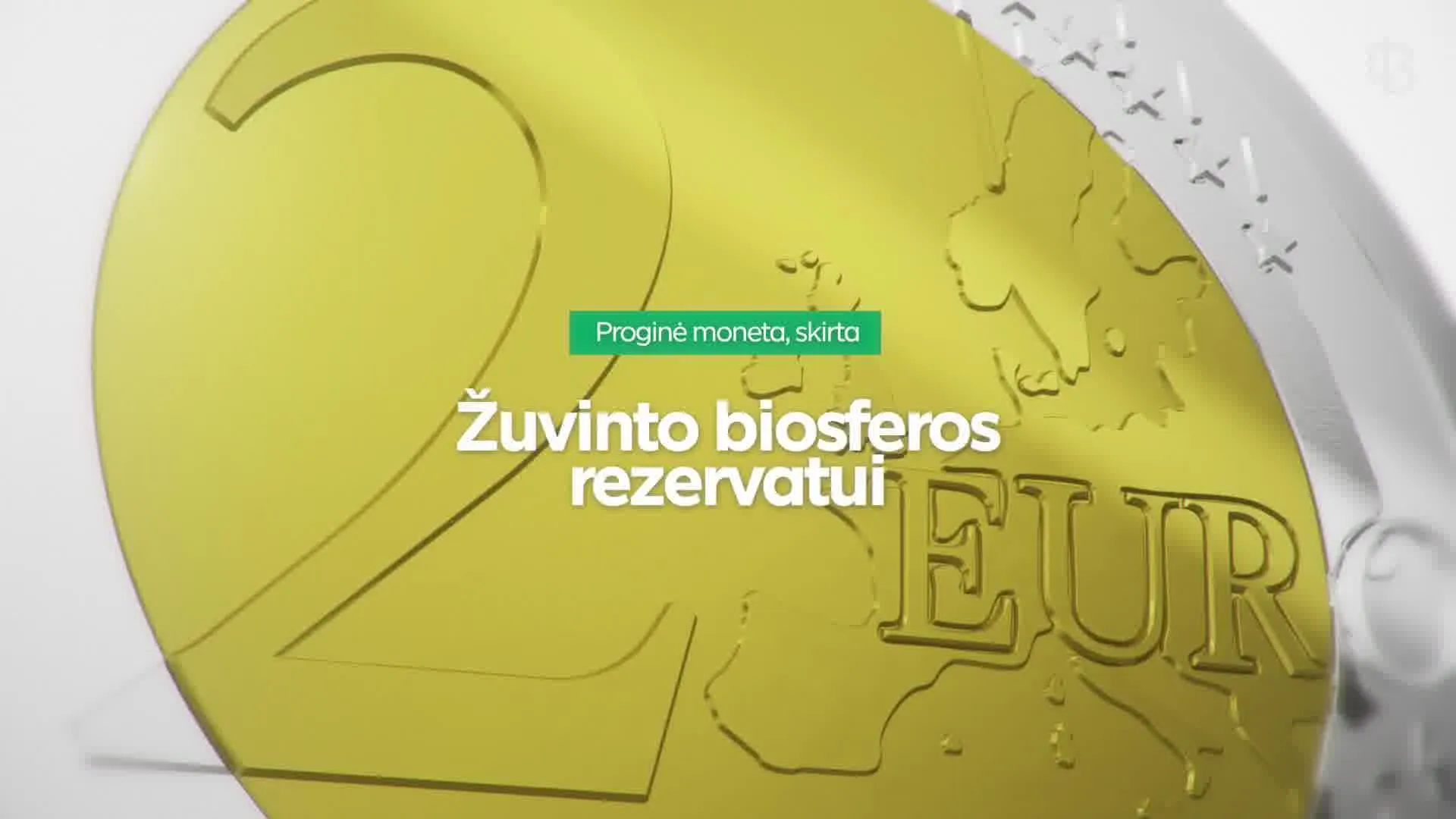 zuveur166054249 237728614794021 8450327997417360534 n