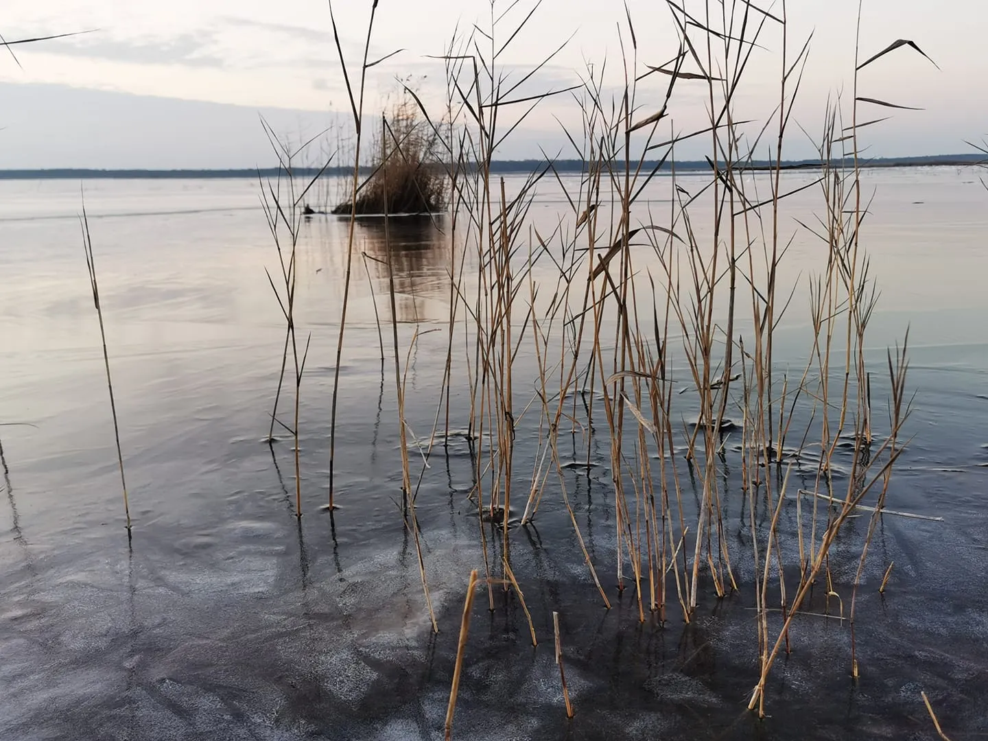 zuvi130477723 3742766885786943 3327923191761095897 n