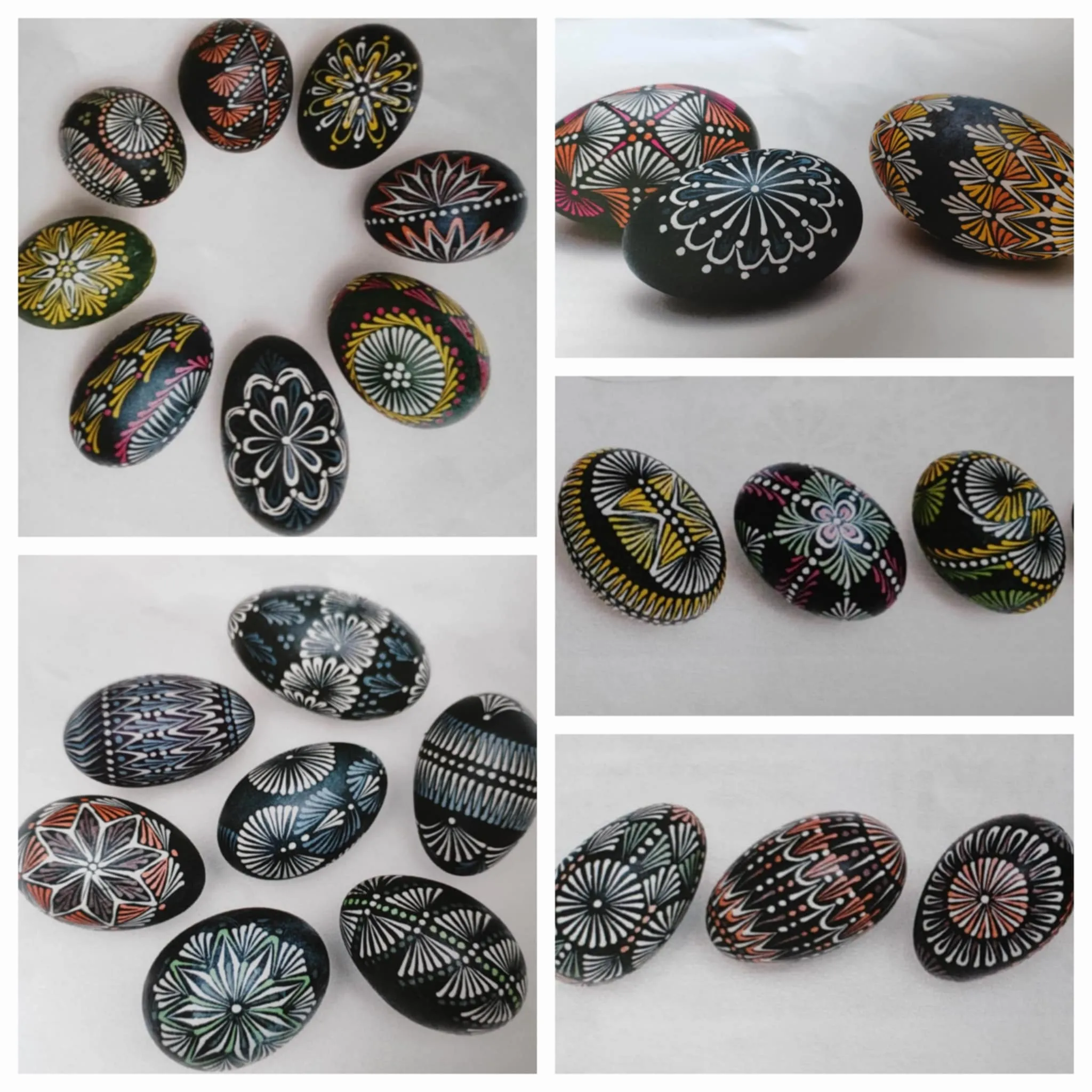 480457156 10228977321479252 588028280735565948 n