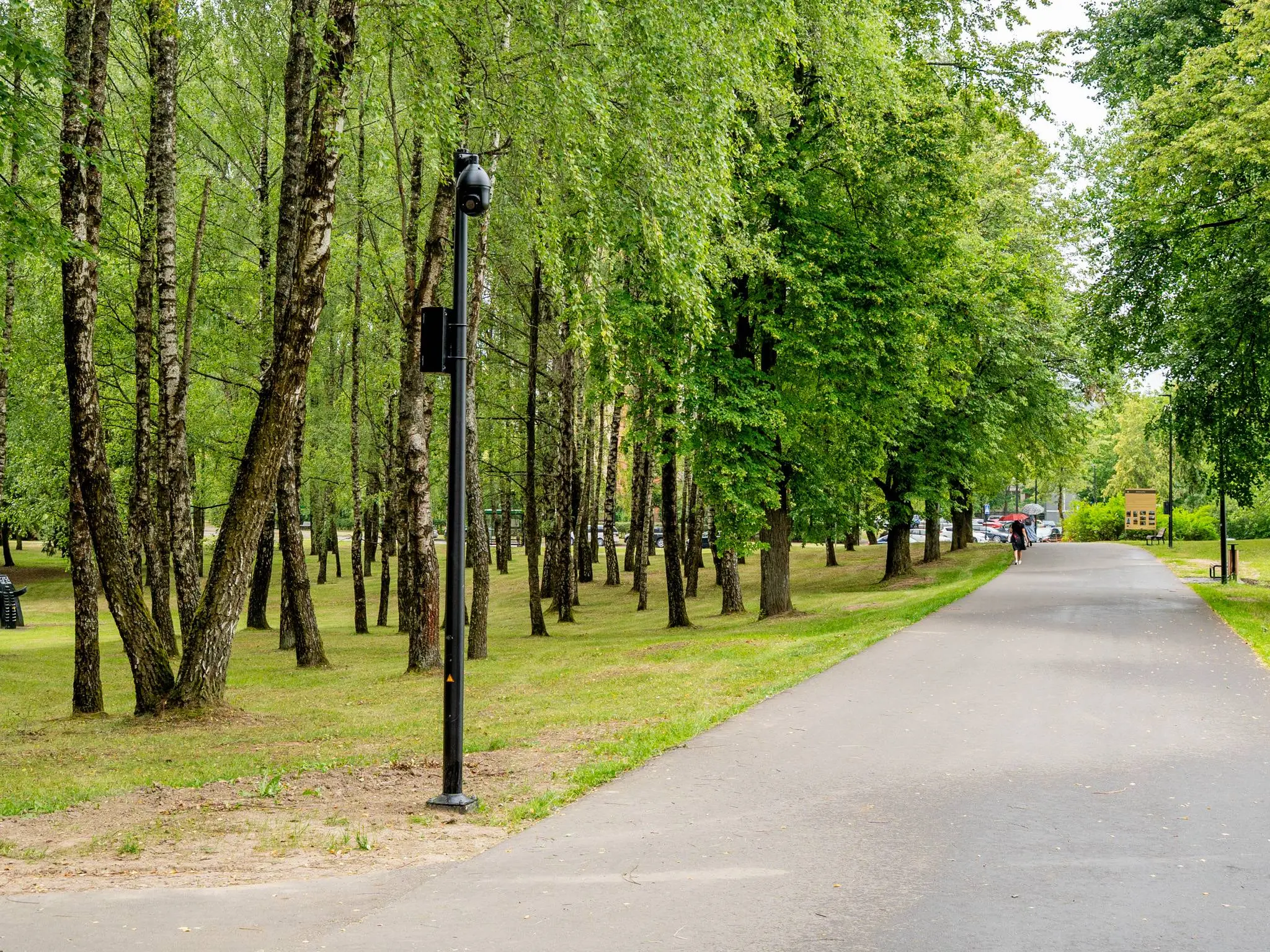 DSC02401
