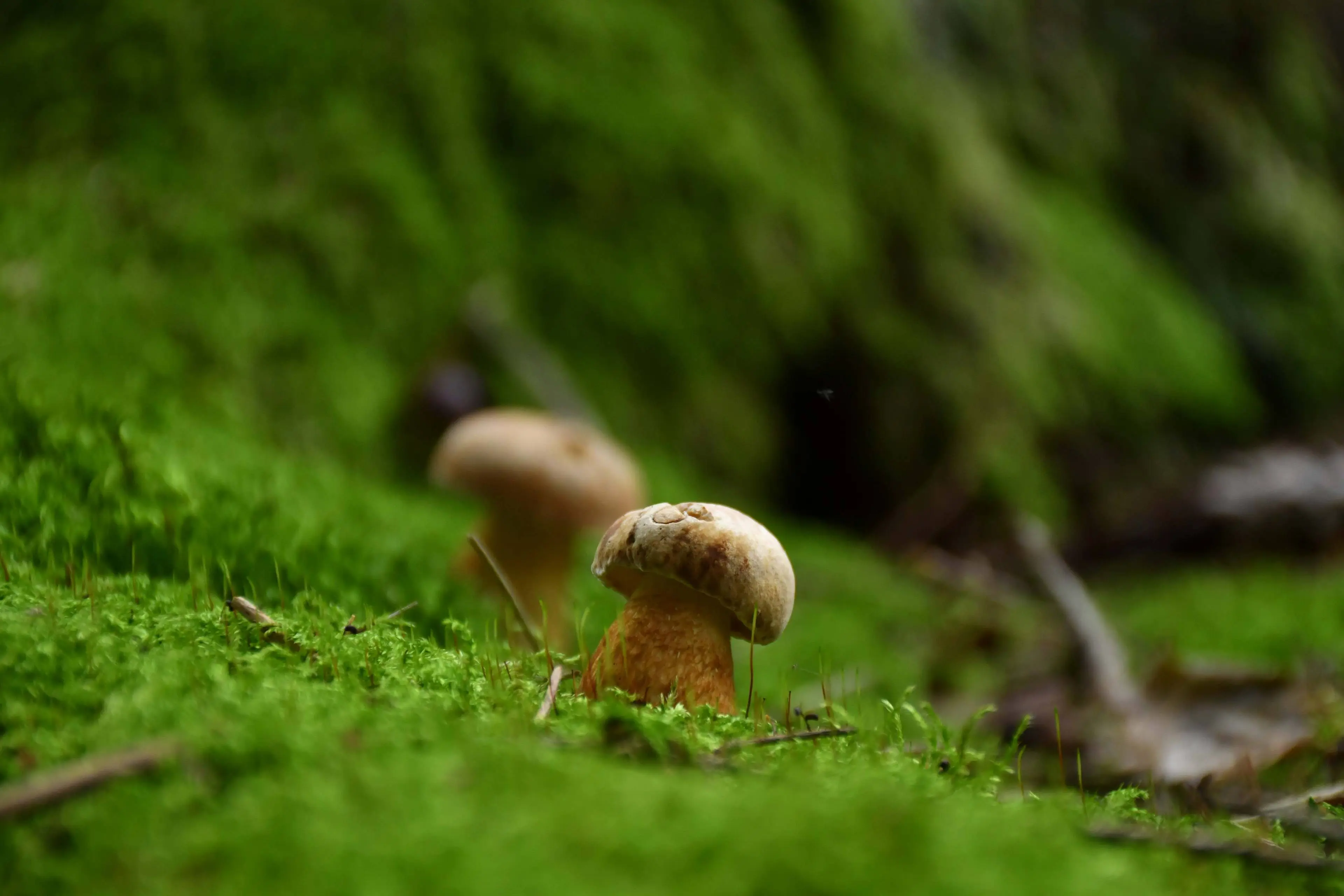 M. Ilčiuko nuotrauka_[1]