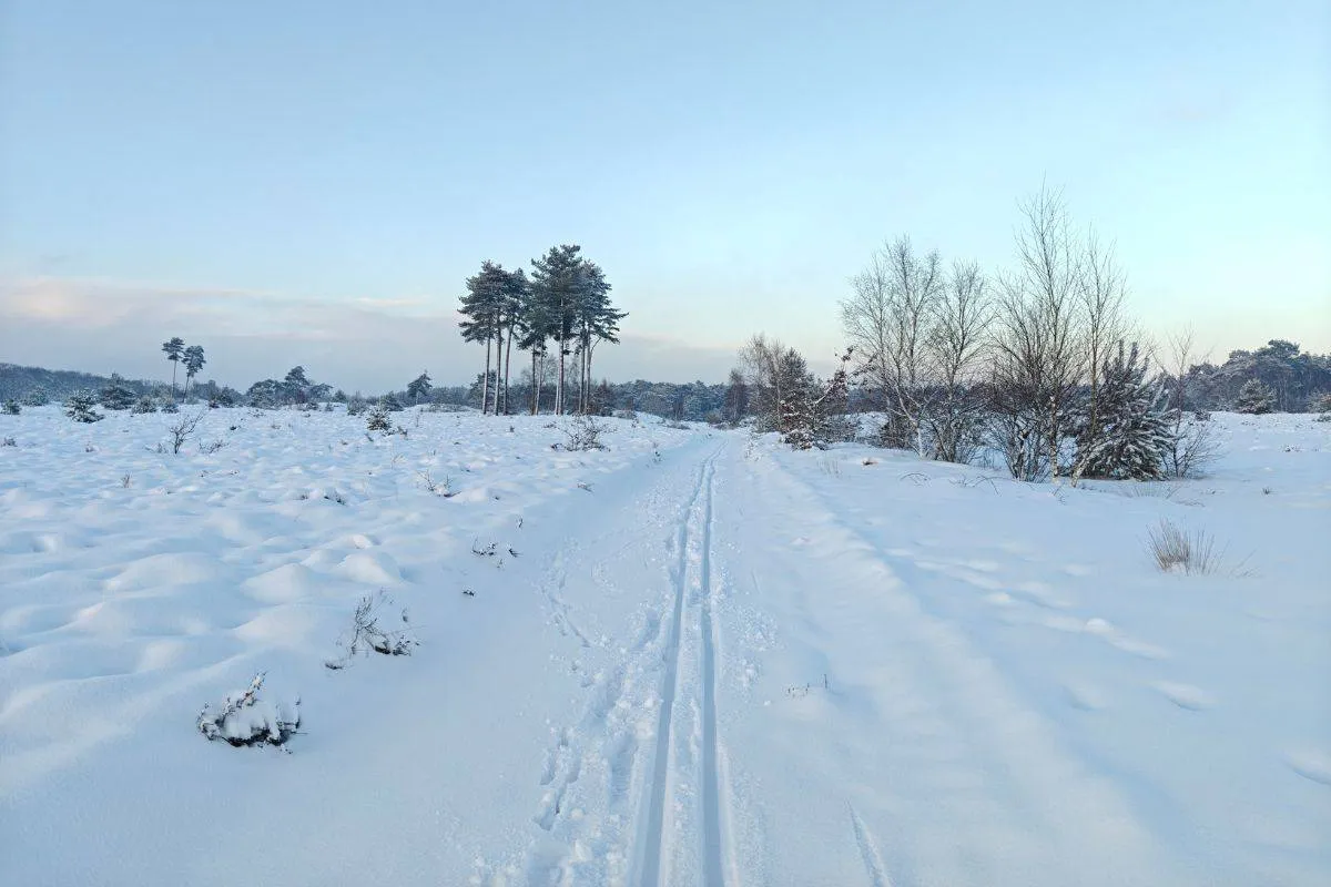 Ontwerp zonder titel (74)