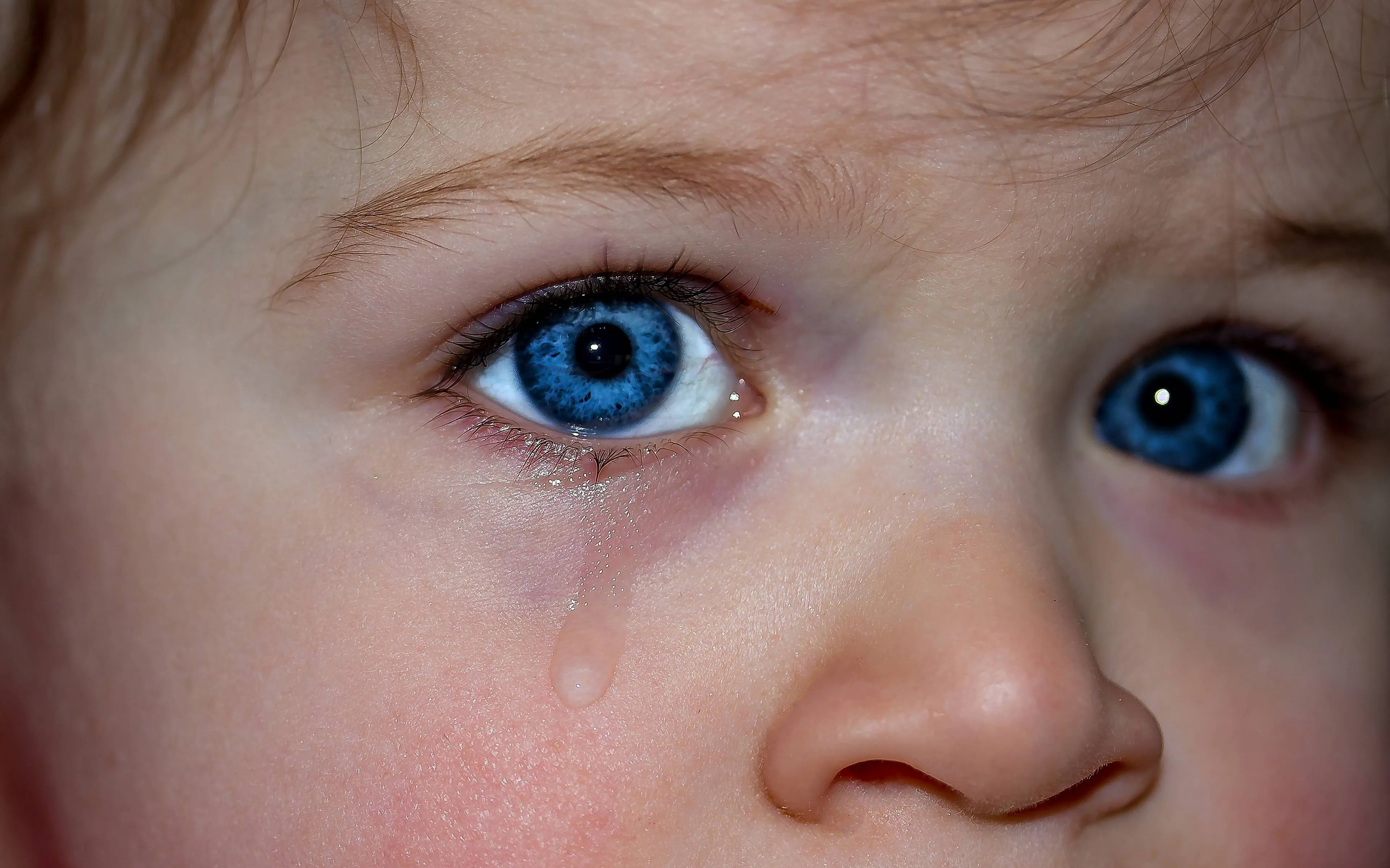 myriams-fotos-childrens-eyes-1914519