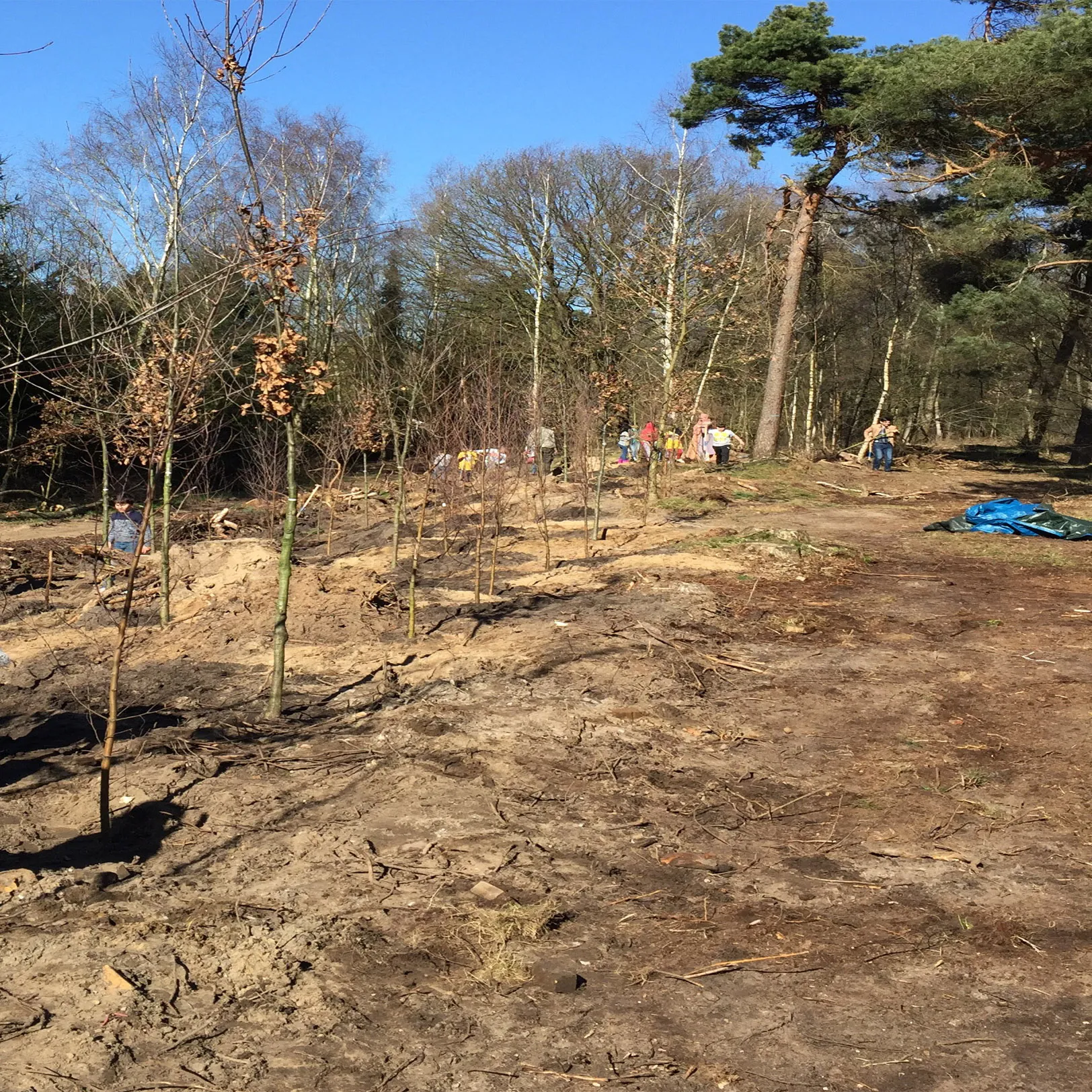 Boomfeestdag was weer een feestje en er zijn 600 boompjes en struiken meer in het Orderbos