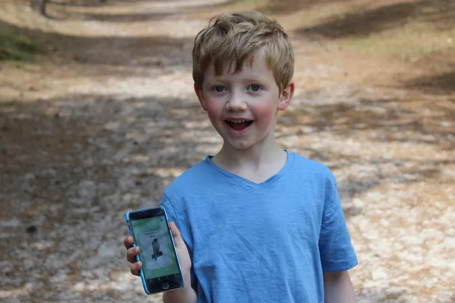 dierenkaartjes app staatsbosbeheer