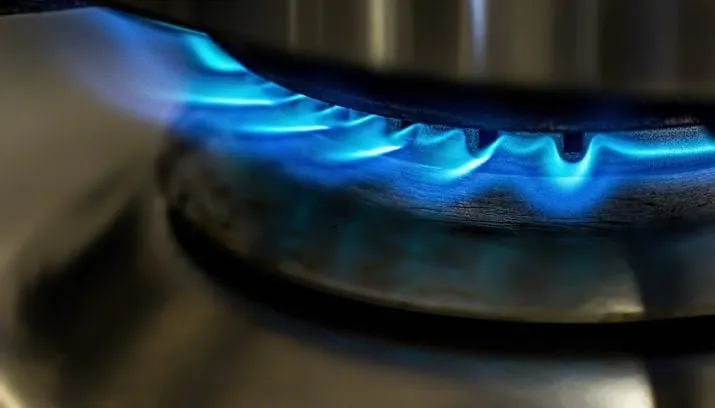 Loenen werkt aan eigen groen gas uit mest: vijf partijen tekenen intentie