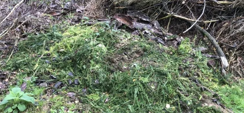 Stort geen tuinafval in natuur