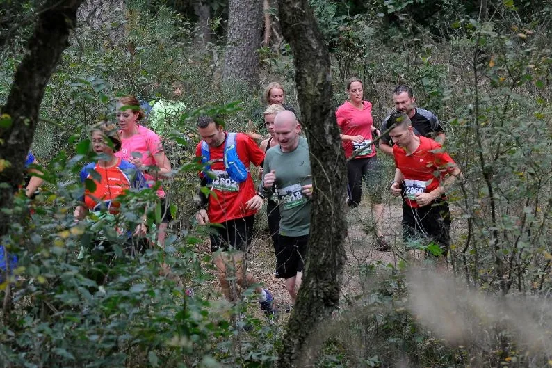 hoge veluwe loop 1