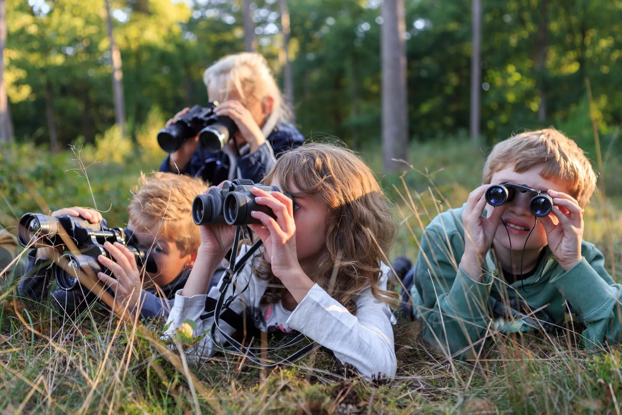 junior natuur expeditie hoge veluwe
