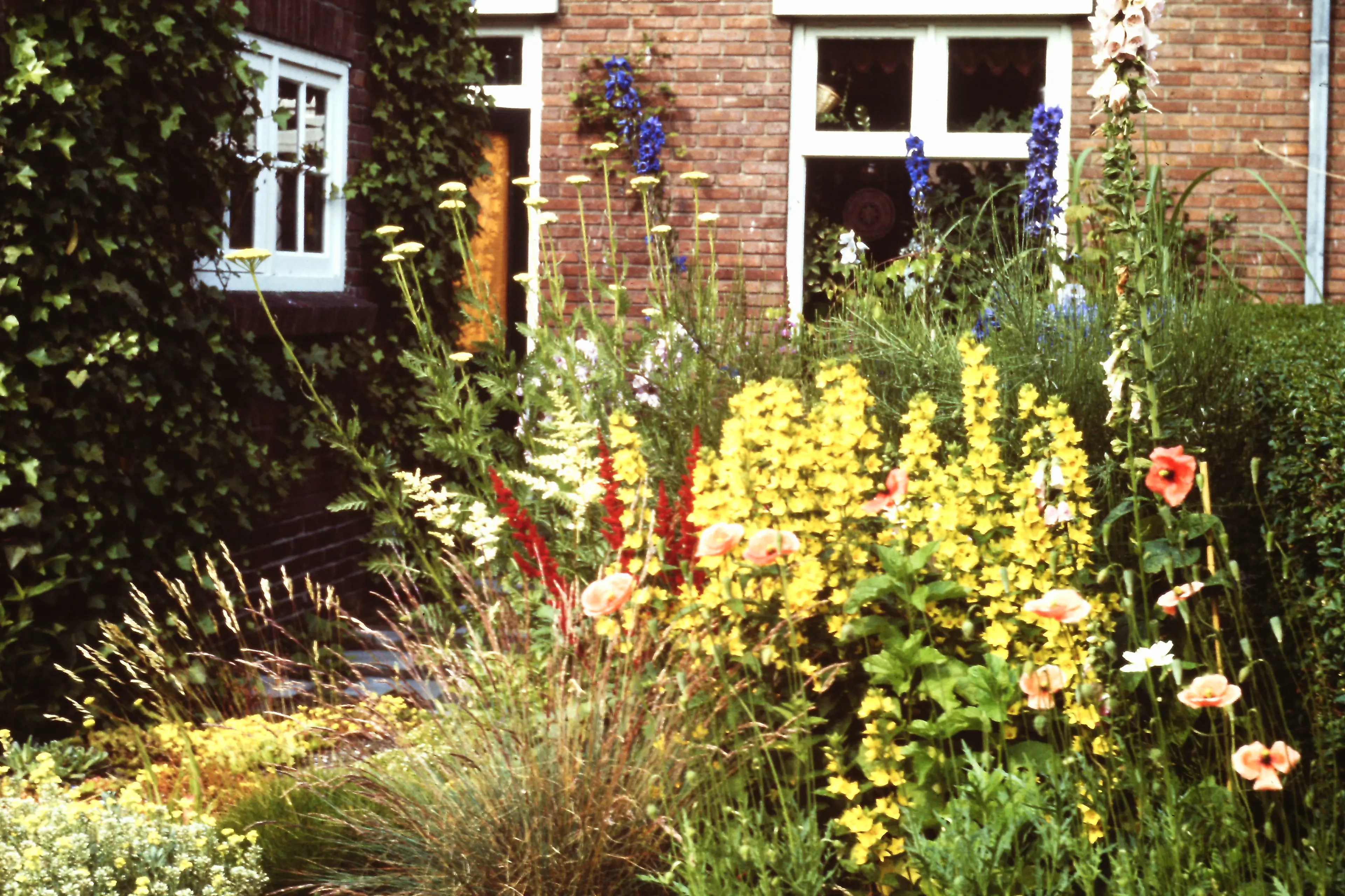 levende tuin 01