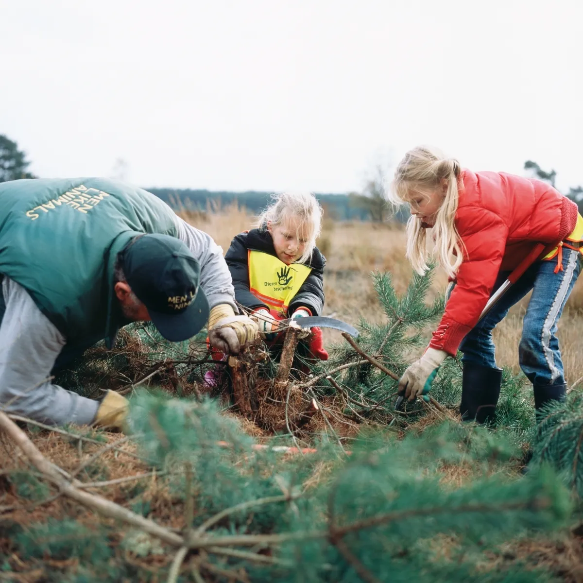 natuurwerkdag a staatsbosbeheer