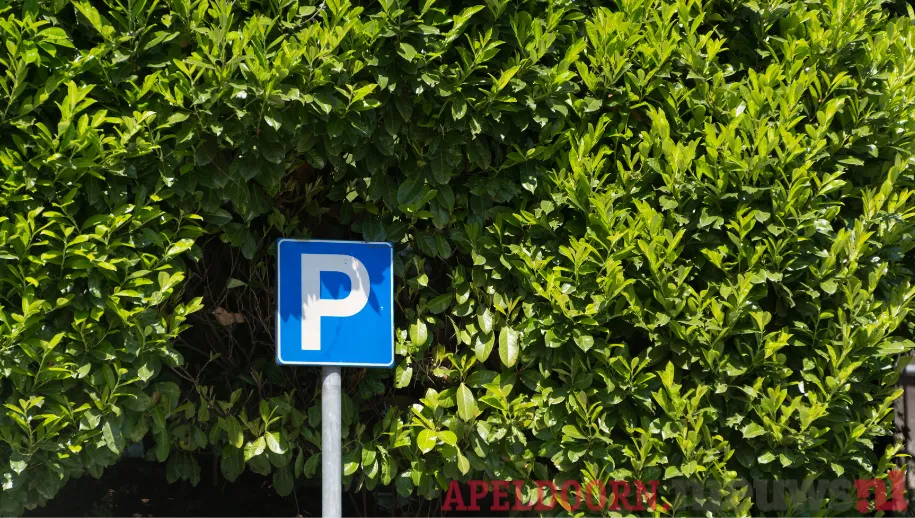 Gemeentelijke partijen verbaasd over provinciale plannen betaald parkeren