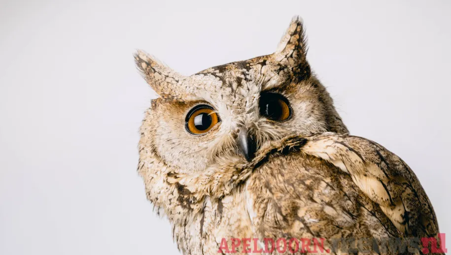 Wintertijd dus een uur de klok terug