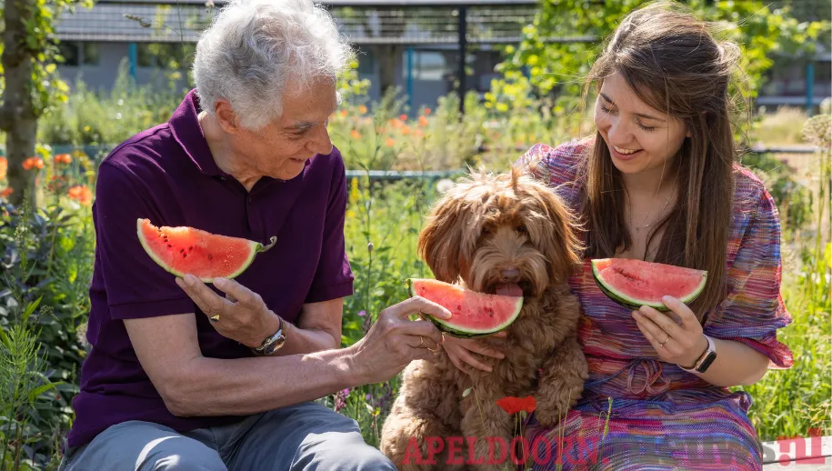 Stichting OOPOEH helpt senioren aan een kwispelend zomermaatje, de oppashond