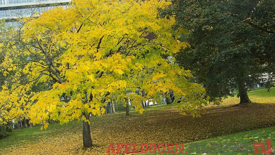 Eerste locatie expositie fotowedstrijd ‘Bomen voor jou’ succesvol