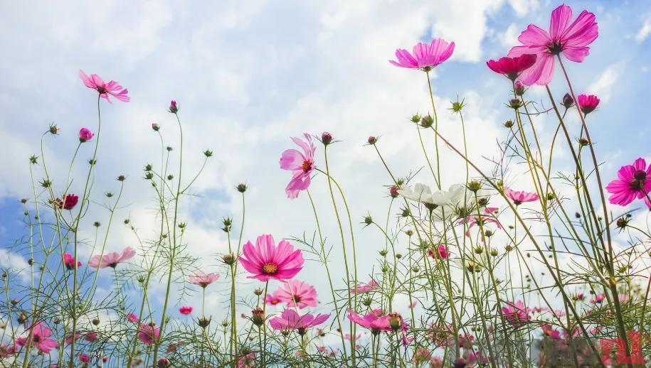 Gelderse Natuurfotowedstrijd zoekt mooiste natuurfoto