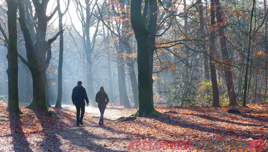 IVN Bomen in de winter op 19 februari 2023