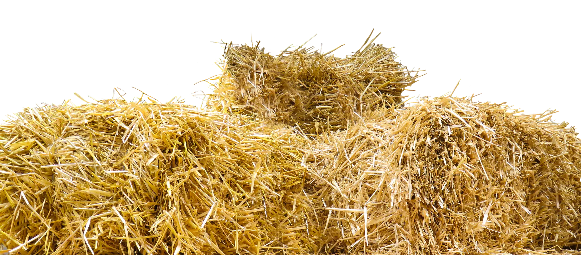 Apeldoorn laat 20 boeren een cursus en coaching volgen voor natuurinclusieve landbouw