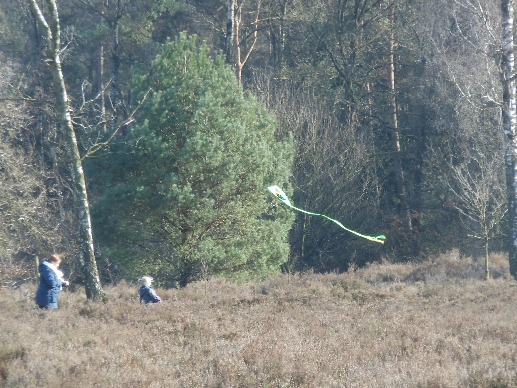 vliegeren t leesten