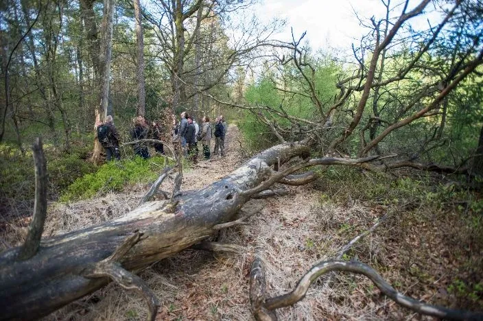 wandelen met gids staatsbosbeheer