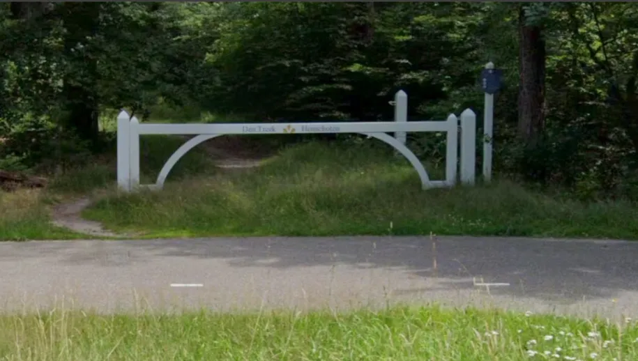 Oproep: kom niet met kleine kinderen in bossen Heuvelrug om wolf