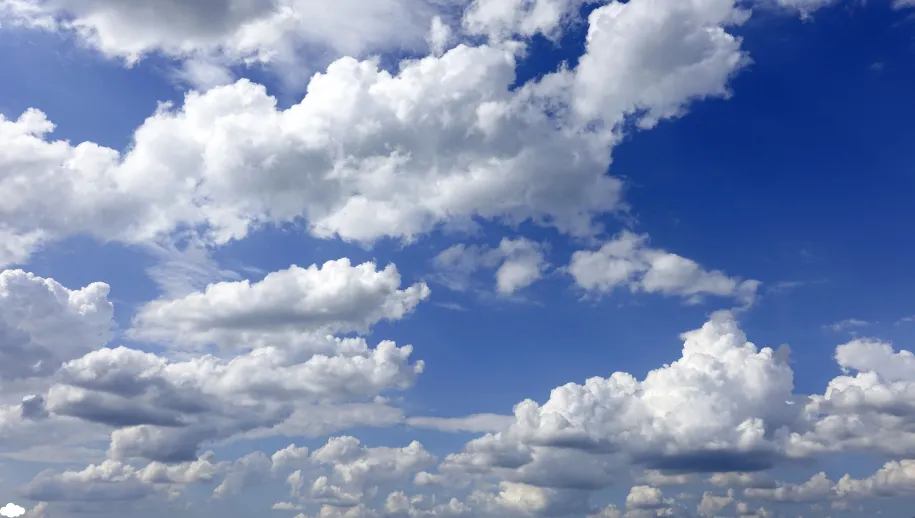 wolk