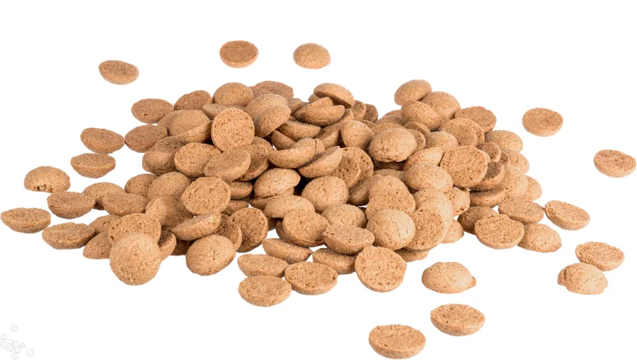 Pepernotenwandeling in Apeldoorn voor jong en oud