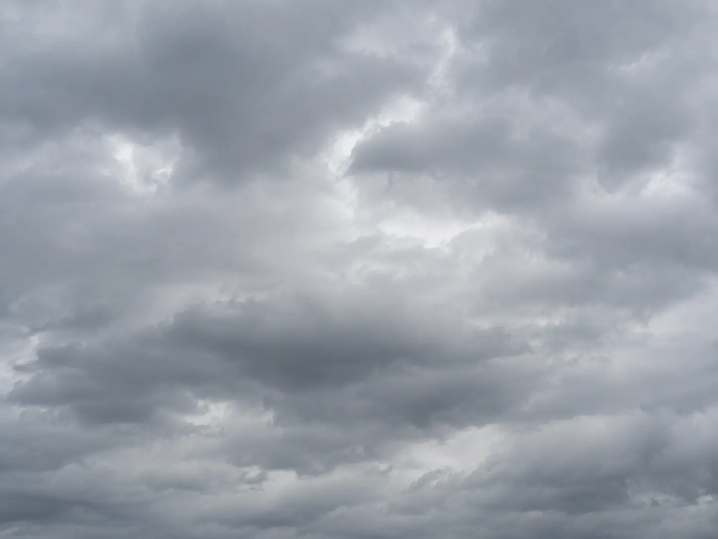 wolk