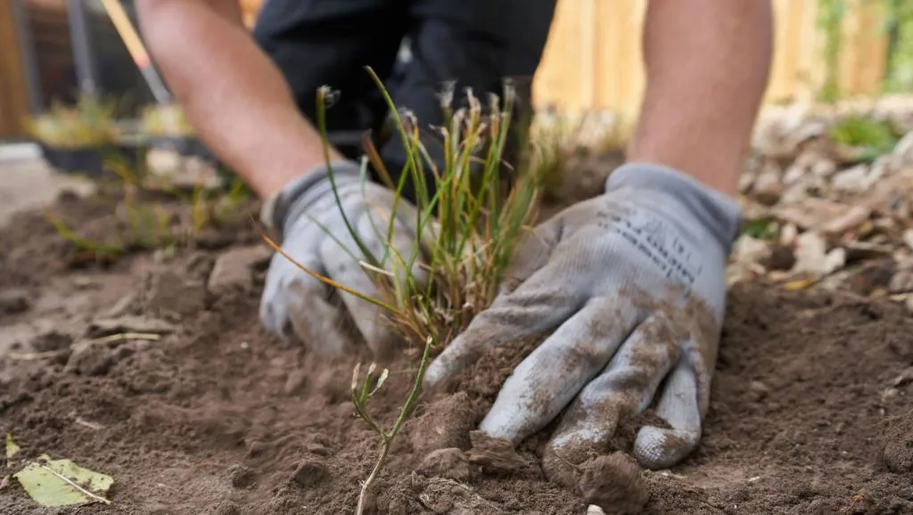 aan de slag met een levende tuin ivn gelderland2 1