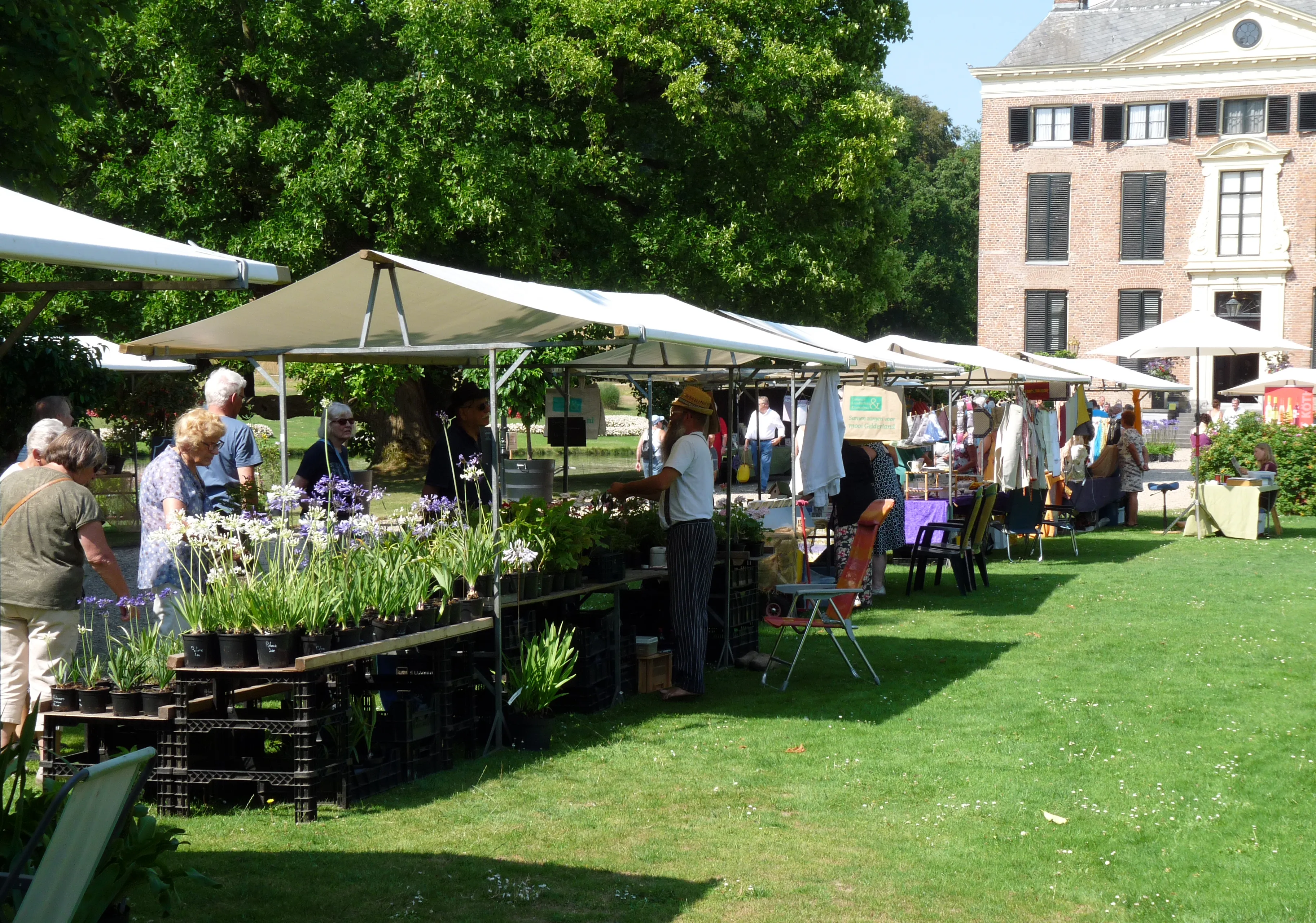 agapanthusmarkt 21 juli 2018 46