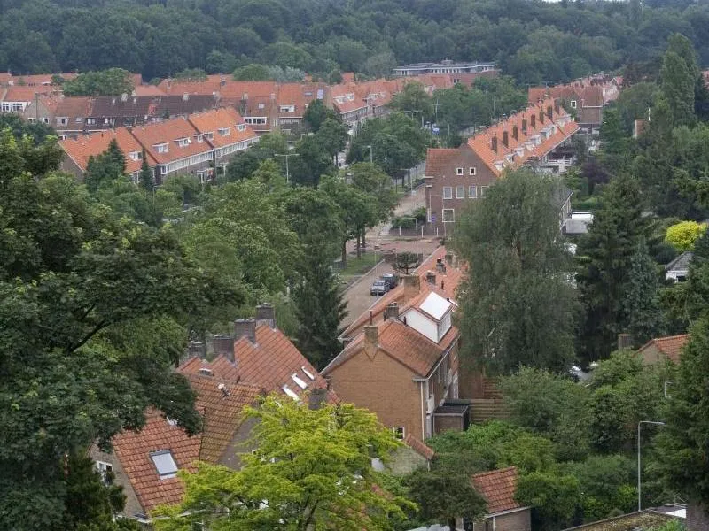 arnhem noordcraneveerimg 2020
