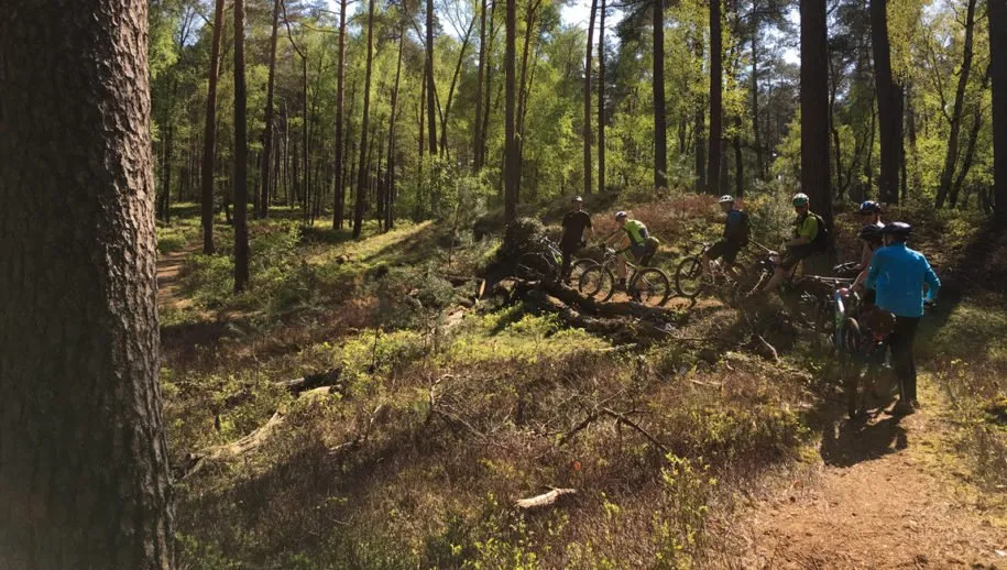 bij opbloem