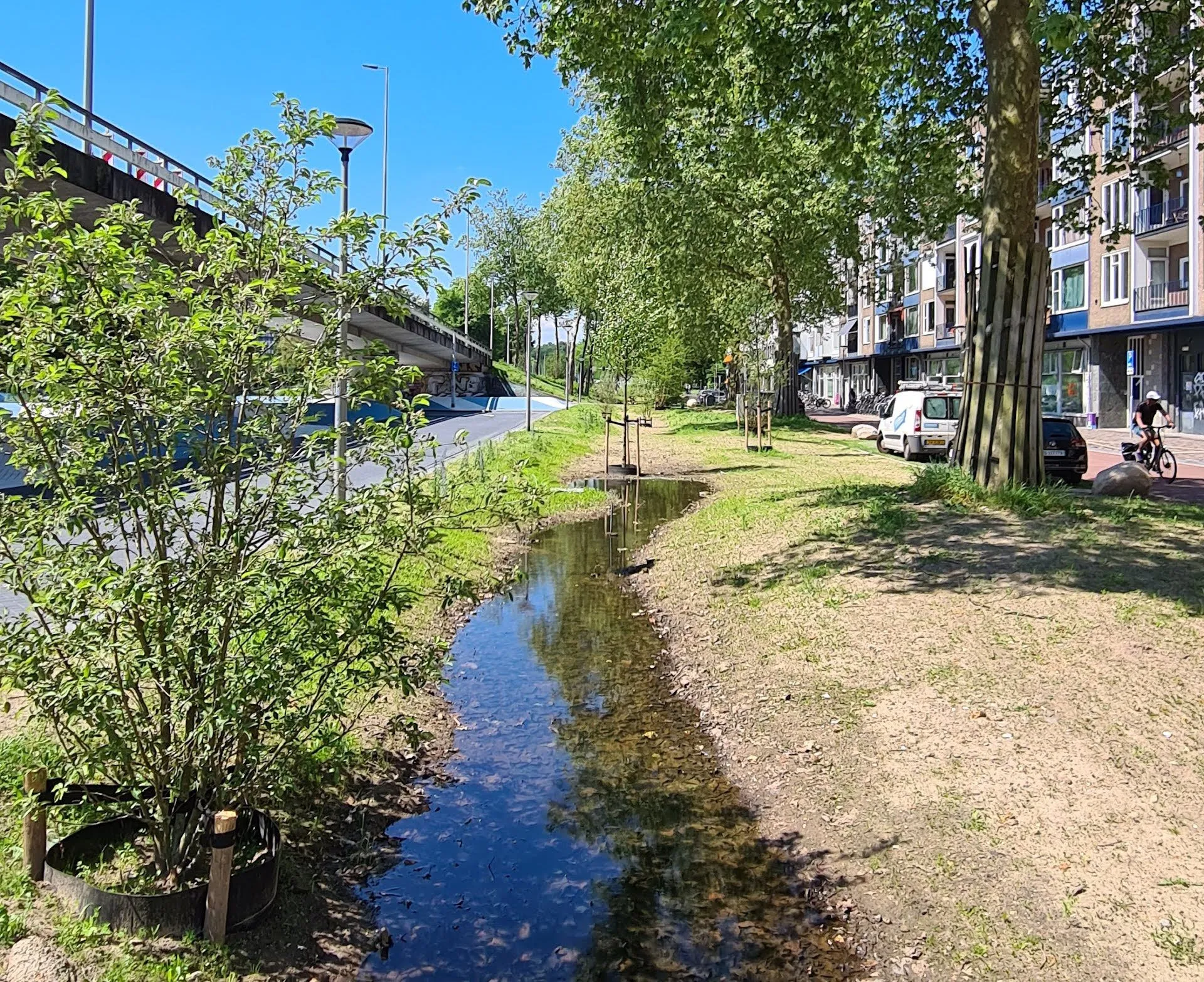 bomenin arnhem 73
