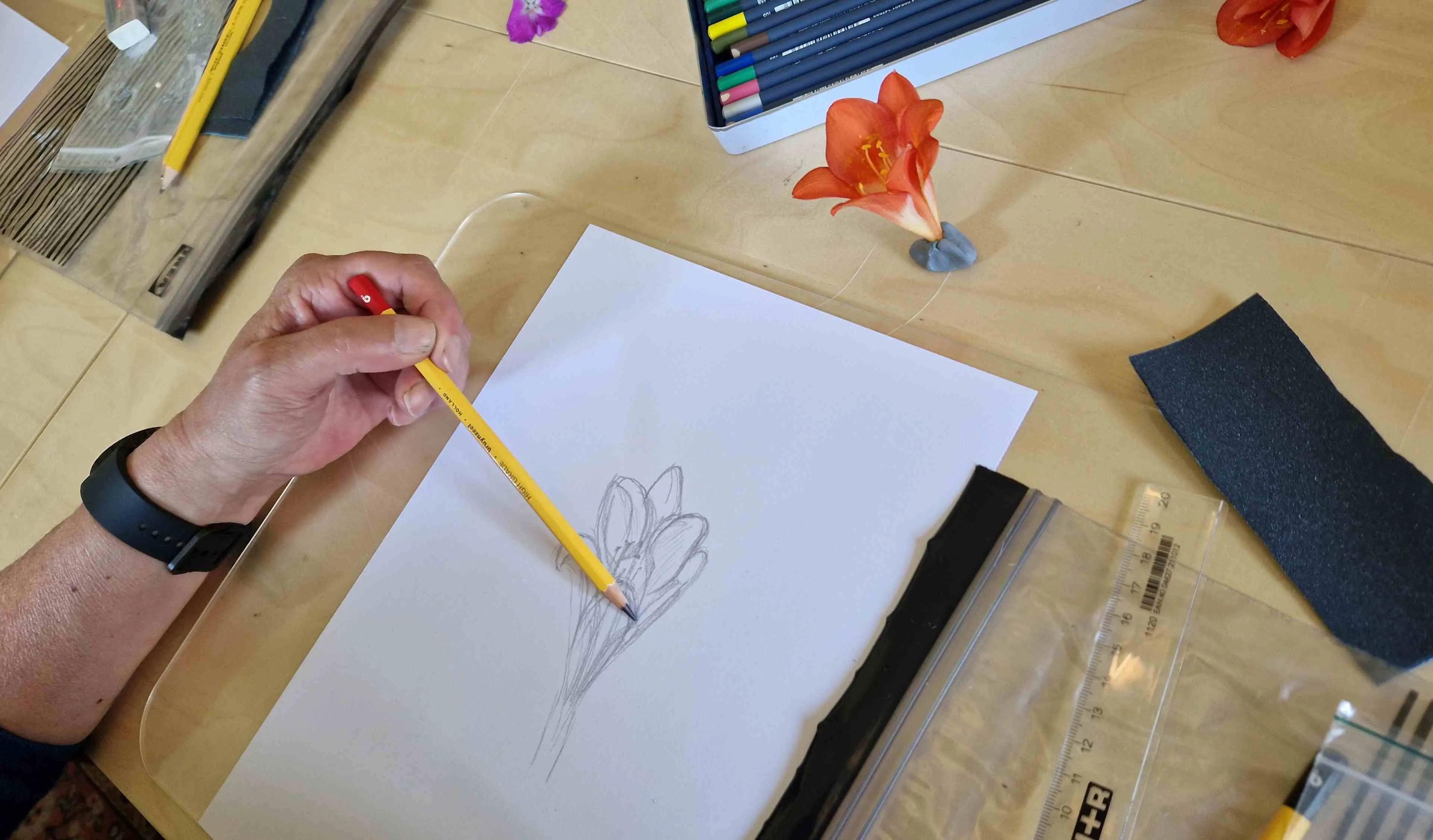 botanisch tekenenkrijnen 20230521 143203